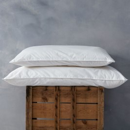 New Zealand Wool Pillows