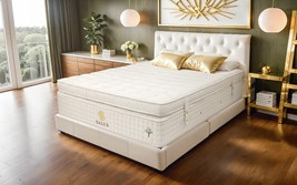 Salus Daintree 10000 Pocket Hybrid Box Top Mattress image