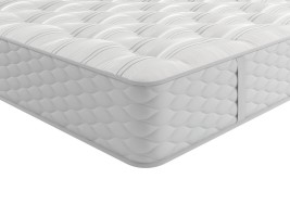 Sealy Fremont Backcare Firm Support Mattress image