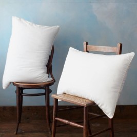 Soft As Down Microfibre With Silk Pillows