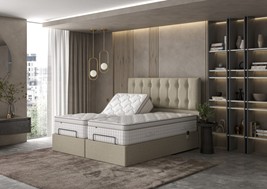 Tech Latex Motion Adjustable Divan Set Mattress