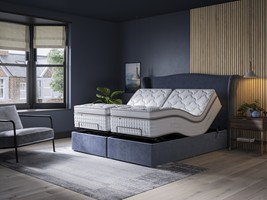 Tech Memory Motion Plushtop Adjustable Divan Set Mattress