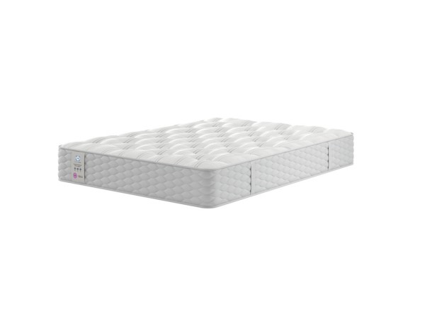 Sealy Fremont Backcare Firm Support Mattress third priority image