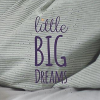 Little Big Dreams logo